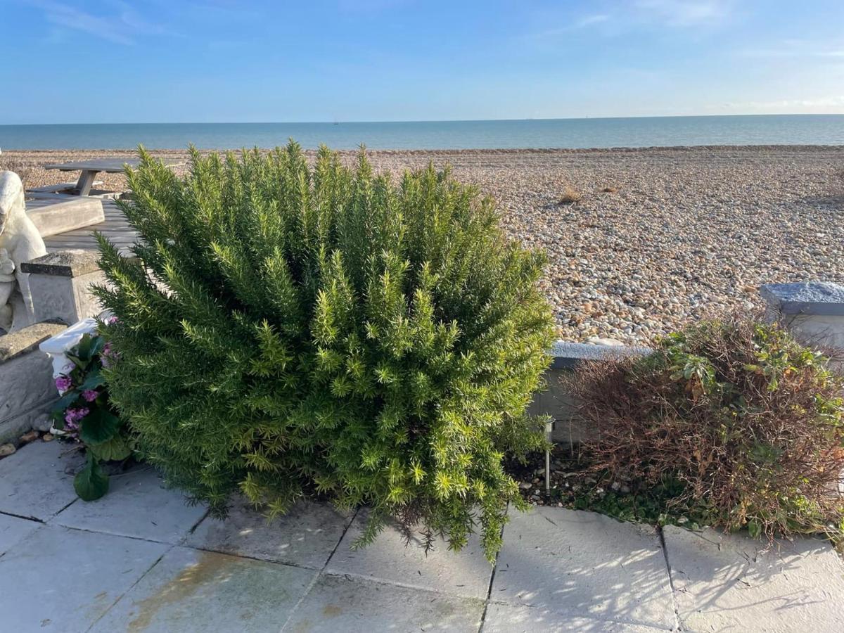 Coastview Bungalow Pevensey Eksteriør bilde